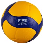 Mikasa-VB *V300W*
